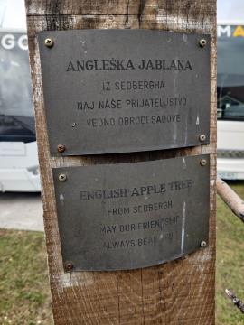 Rezitev Angleške jablane - darilo pobratenega mesta Sedbergha