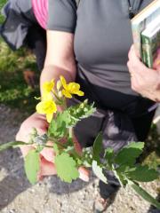 IMG_20190403_163644