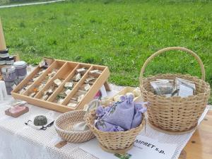 70426902_1207292729481718_7447256219321892864_n