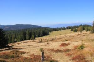 Planinka