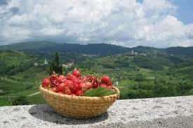 Medana