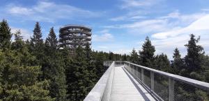 Resized_20200622_132411002