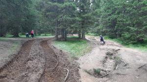 IMG-a98783801570381a693597ee101f6281-V