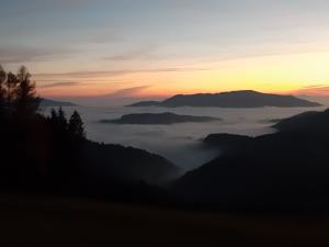 IMG-928cded6e95e7e3a3e36fd45867e7ce1-V