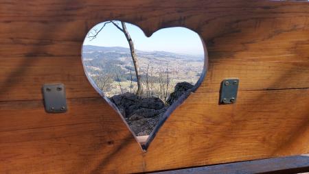 IMG-f06fe6bcad34ebe0926a4f2138a507c8-V