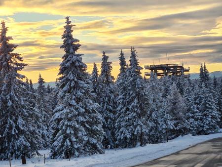 IMG-cd7f14246fd2fe795df7ae0327a69a3a-V