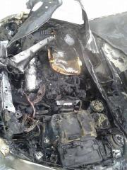 16402198_1905980716281586_1815682227_n