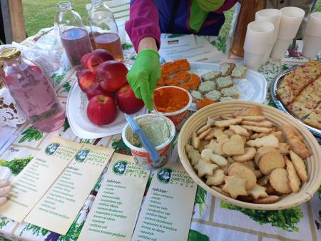 306845982_1401012693722009_2268926461752820495_n