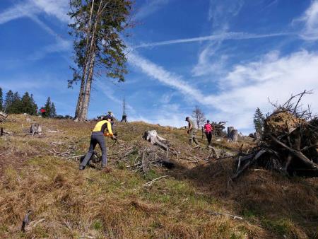 IMG-60d0c1d7df9d126ba61670d9a4732b14-V