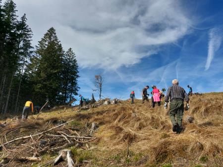 IMG-333aed3dc3417ac95a89dc1962feb3e3-V