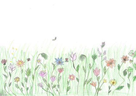 Scan_0008