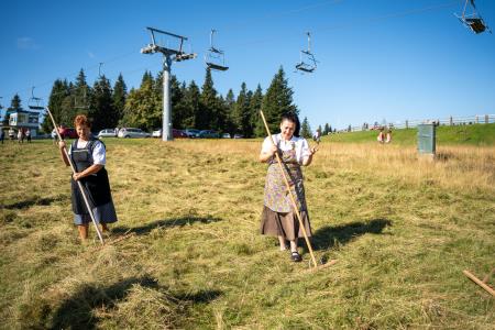 RoglaKosnjaUrejeno-11