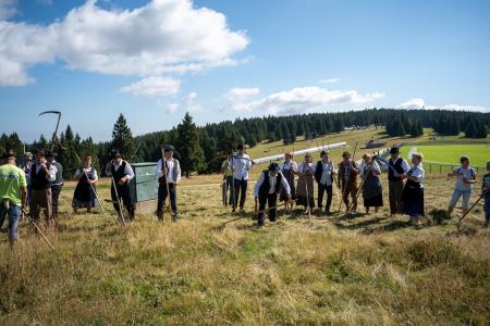 RoglaKosnjaUrejeno-45