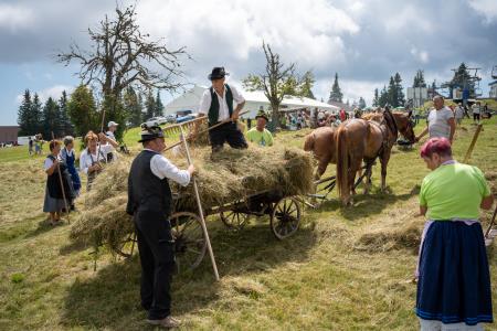 RoglaKosnjaUrejeno-107