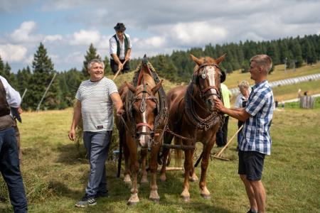 RoglaKosnjaUrejeno-115