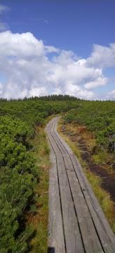 IMG_20240921_125230