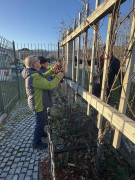 IMG_3838